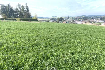 Baugrundstück 177/22 mit 729m² in Eberschwang