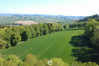 Acker mit 1,4ha in St. Marienkirchen a.d.Polsenz
