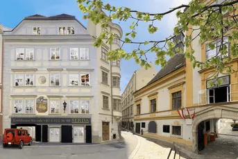 935m² Stadtpalais for sale in Schönlaterngasse 6, 1010 Vienna. Living working and leisure. Antique elevator, high-end luxury. 2 parking spaces, home cinema, spa, gym, high and bright rooms. 