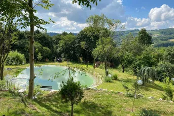 TRAUMHAFTES GRUNDSTÜCKSPAKET AM ÖLBERG MIT DIVERSEN NUTZUNGSMÖGLICHKEITEN