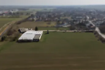 GIGANTISCH gesucht? HIER RICHTIG