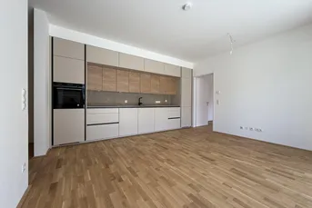 Terrassentraum in der Kremser Altstadt - Erstbezug!