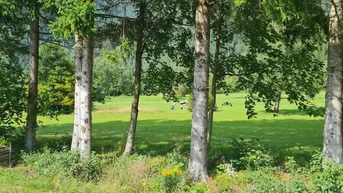 Expose schönes, ruhiges Grundstück am Golfplatz