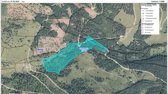 Expose 4ha Waldfläche in Dornbach im Maltatal direkt an einem Bachlauf