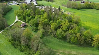 Expose Sonniges Baugrundstück in Krumpendorf am idyllischen Waldrand in absoluter Ruhelage