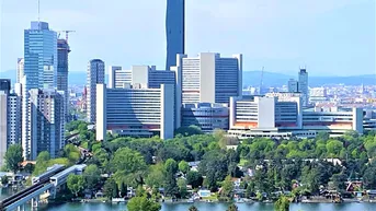 Panoramablick auf die Stadt Wien mit Donau, grünen Ufern und markanten Hochhäusern.