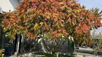 Expose Hochwertiges Einfamilienhaus mit elegantem Wintergarten und gepflegtem Grund!