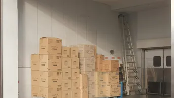 Expose Lager / Halle in Wiener Neustadt privat oder gewerblich / gute Anbindung