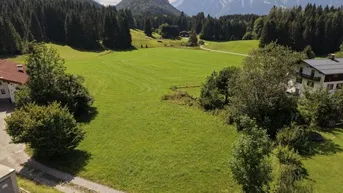Weitläufiges grünes Feld mit majestätischen Bergen und dichten Wäldern im Hintergrund, umgeben von ländlicher Bebauung.