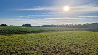 Expose Toller Baugrund in zentraler Lage von Vorchdorf zu kaufen