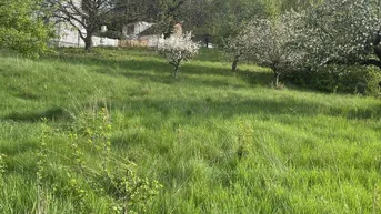 Expose Altes Bauernhaus mit Wirtschaftsgebäuden zu verkaufen!