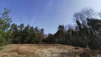 Expose Baugrundstück mit traumhaften Fernblick in ruhiger Lage