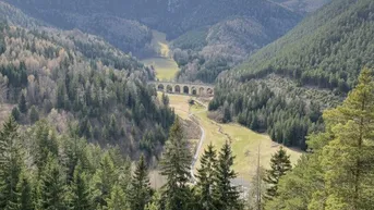 Panoramablick auf ein grünes Tal mit bewaldeten Hügeln und einem historischen Viadukt unter blauem Himmel.
