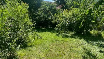 Expose Einfamilienhaus mit Garten 5 Zimmer Parkplätze