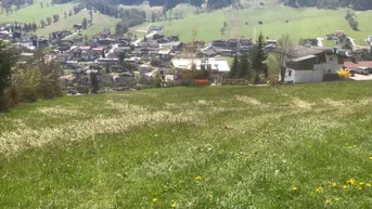 Expose Lebensfähiger Bergbauernhof in Sonnenlage in der Wildschönau zu verkaufen