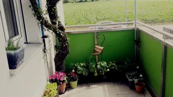 Expose Wohnung mit Balkon im schönen Tullnerfeld