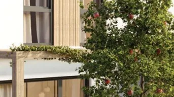 Expose BAUSTART ERFOLGT - Leben im Herzen der Wachau - provisionsfreies Neubauprojekt in Krems-Gneixendorf - Eckreihenhaus inklusive Parkplatz