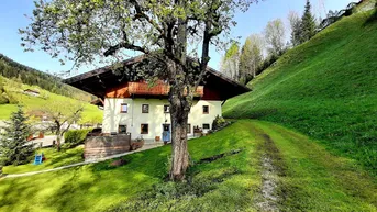 Expose 5425 Krispl/Gaißau: Uriges, sehr gepflegtes Bauernhaus mit Terrasse und Garten in friedlicher Lage