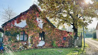 Expose Der Frühling hält Einzug! Wessen Zuhause darf hier entstehen?