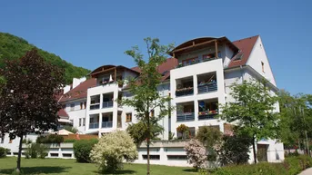 Expose Große, sehr schöne Wohnung in Krems-Rehberg mit Tiefgaragenplatz, Loggia und viel Stauraum in einer wunderbar ruhigen Gegend mit viel Grün !
