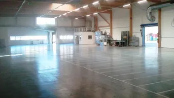 Expose Mäder - Hallenfläche mit ca. 2.880 m²