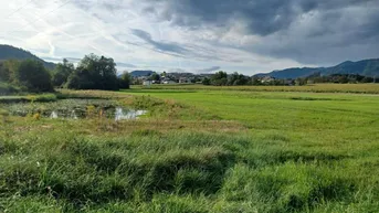 Expose Schönes, ebenes Grundstück zur Freizeitgestaltung mit großem Teich, ca. 13.600 m² in Völkermarkt