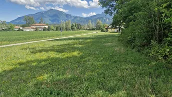Expose Traumhaftes Baugrundstück mit 3150 m² im Unterkärntner Seengebiet, Bergblick!