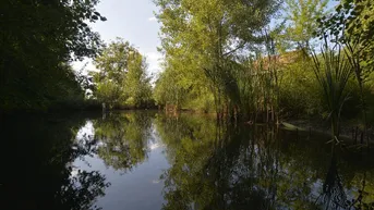 Expose Traumhafte kleine Landwirtschaft mit Panoramablick und energiesparendem Haus!