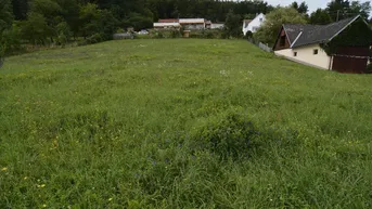 Expose Baugrundstück in St. Martin an der Raab – ruhige Lage mit viel Potenzial!