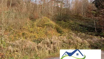 Expose Bad Ischl - Hanggrundstück in schöner, ruhiger Lage
