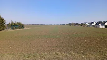 Weitläufiges Feld mit Blick auf die umliegende Landschaft und Häuser in der Ferne.