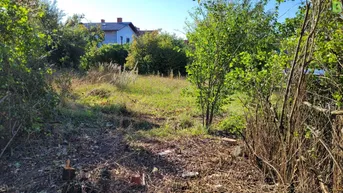 Expose Ihr Traumgrundstück für Ihr Eigenheim in Strasshof: 457m² für nur 128.000 €! Jetzt zugreifen!