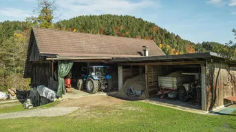 Ländliches Nebengebäude mit Holzlager und landwirtschaftlichen Fahrzeugen vor bewaldetem Hügel.