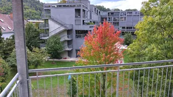 Expose GEIDORF: Sanierter 2 ZIMMER-NEUBAU + ruhiger Balkon 6,5m² + extra Küche neu möbliert + TG-Platz!