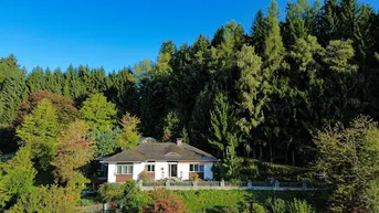 Expose „Sacherlfeeling pur – Allein- und Aussichtslage mit 7.576 m² Naturparadies für Mensch &amp; Tier!“
