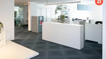 Expose Moderne Büro/Schauraum Fläche in sehr guter Lage zu vermieten