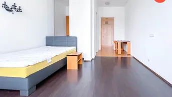 Expose Stillvolle Single Wohnung mit 1- Zimmer und Küche in Urfahr