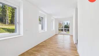 Expose *Über der Nebelgrenze* 2 Zimmer Wohnung mit Blick ins Grüne