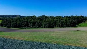 Expose Waldgrundstück mit 10 ha Fläche in Scharten zu verkaufen!