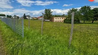 Expose Großzügige Landwirtschaftsfläche mit Potential für mehr!