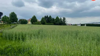 Expose Traumhaftes Baugrundstück in zentraler Paschinger Aussichtslage