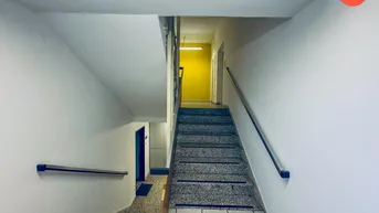 Expose "Lager - Büro - Verkauf" 1500m² in Top Linz - Lage