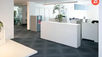 Expose Moderne Büro/Schauraum Fläche in sehr guter Lage zu vermieten