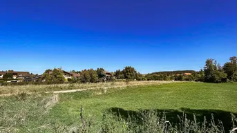 Expose „Attraktives Baugrundstück am Ortsrand von Forchtenau – 3.815 m² für bis zu 10 Einheiten“