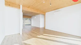 Helles, leeres Zimmer mit Holzboden und Holzdecke, sowie Klimaanlage und großen Fenstern.