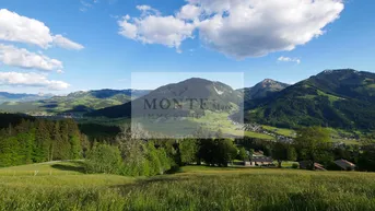 Expose Erstbezug in idyllischer Aussichtslage des Brixentals- Freizeitwohnsitz