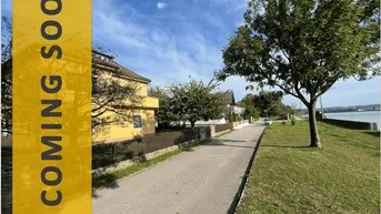 Expose COMING SOON! Idyllisches Haus mit 2 Wohneinheiten in einzigartiger Lage direkt an der Donau möchte aus dem Dornröschenschlaf geweckt werden