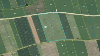 Expose Freiland I Bestandsfrei