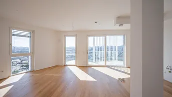 Expose PENTHOUSE WOHNUNG mit Traumausblick (großzügig, hell - einzigartiger Parkblick mit Sonnenuntergang) Top 197