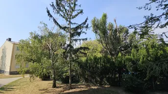 Expose Hier will ich sein in Wiener Neudorf, gartenseitige Wohnung! + Loggia! Optional mit Garage!